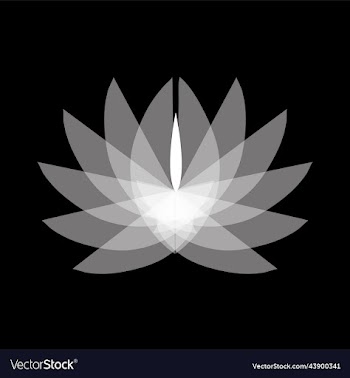 logo lily in white shades on a dark background
