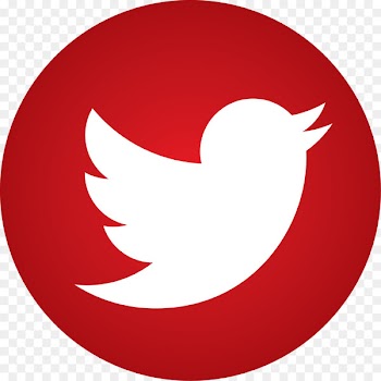 Logo Organization Business Camp Wise Company - twitter 
