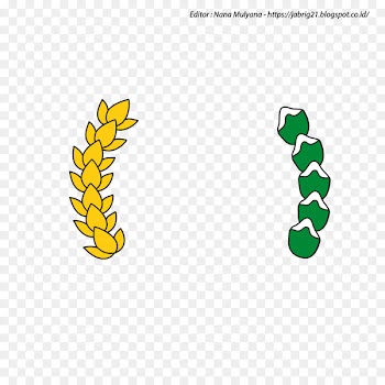 Logo Padi Oryza sativa Cotton - Padi Dan Kapas 