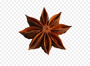 Logo Photography Illustration - A star anise 