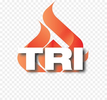 Logo Product design Brand Font - triacircngulo flag 