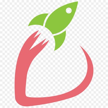 Logo Rocket Berry Video & Photo Graphic design Videography Photograph -  