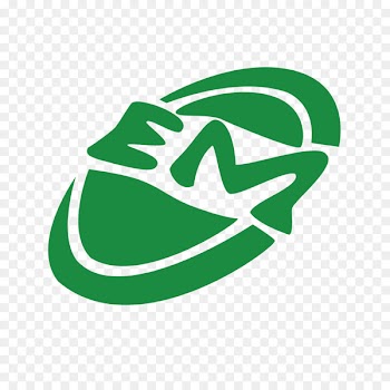 Logo, Shoe, Brand, Green, Footwear PNG