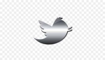Logo Social media Computer Icons Silver Image - twitter bird logo 