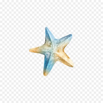 Logo Ta Clip art - Watercolor starfish 