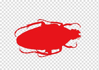Logo Text Brand Illustration, insect transparent background PNG clipart