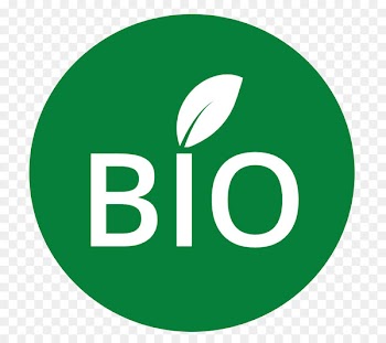 Logo, Trademark, Text, Green PNG