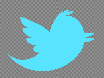 Logo Twitter Computer Bird Icons PNG Free Photo