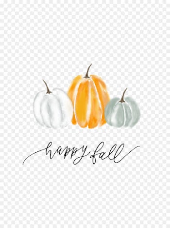 Logo, Vienna, Desktop Wallpaper, Orange, Pumpkin PNG