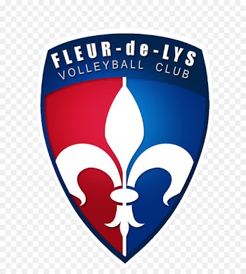Logo Volleyball Portable Network Graphics Nightclub Volleyclub - volleyball 