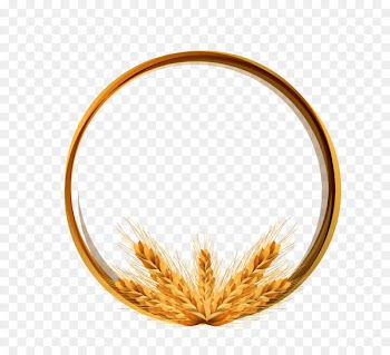 Logo Wheat Icon - Golden wheat ring vector material 