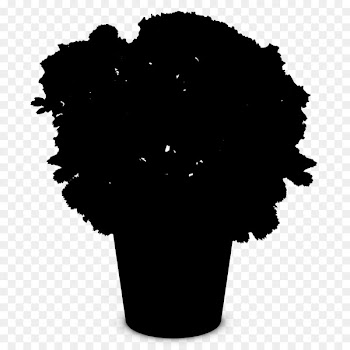 Logo Woman Silhouette Female Photography -  