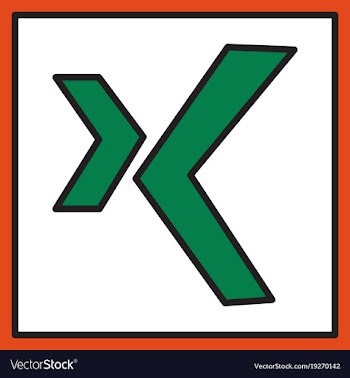 Logo xing icon social social media social network vector image
