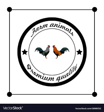 Logos and badges farm animals cocks vector image