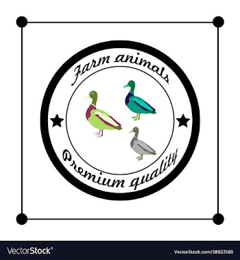 Logos and badges farm animals wild duck vector image