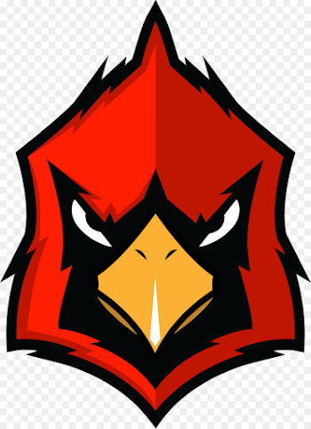 Logos and uniforms of the St. Louis Cardinals Arizona Cardinals ...