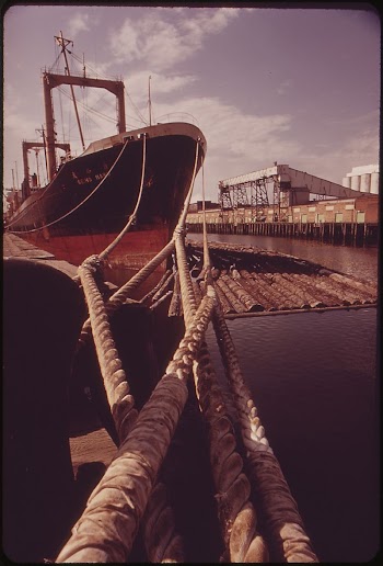 Logs Are Loaded Aboard Freighter | Free Photo - rawpixel