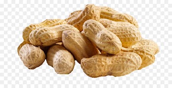 Lohri Happiness Wish WhatsApp - Peanut PNG Transparent Images 