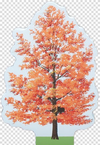 Lombard Street Maple American sweetgum Black tupelo, others transparent background PNG clipart