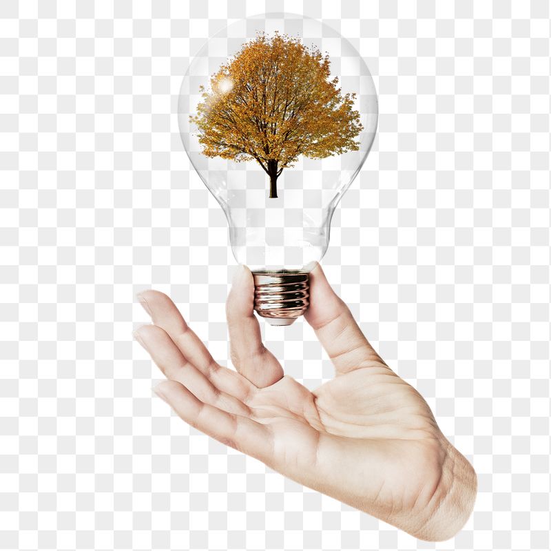 Lone Autumn png tree sticker, | Free PNG - rawpixel