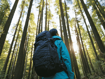Lone Hiker in Serene Forest