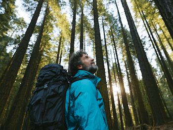 Lone Hiker in Serene Pine Forest