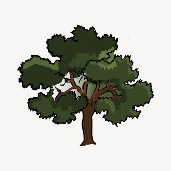 Lone tree clipart, botanical illustration | Free Vector - rawpixel