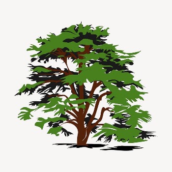 Lone tree clipart, illustration vector. | Free Vector - rawpixel