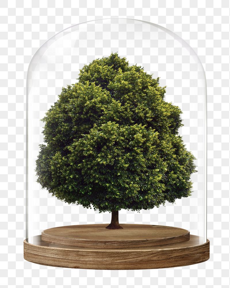 Lone tree png glass dome | Free PNG - rawpixel