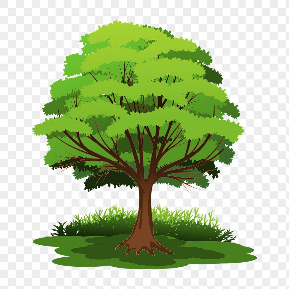 Lone tree png sticker, botanical | Free PNG - rawpixel