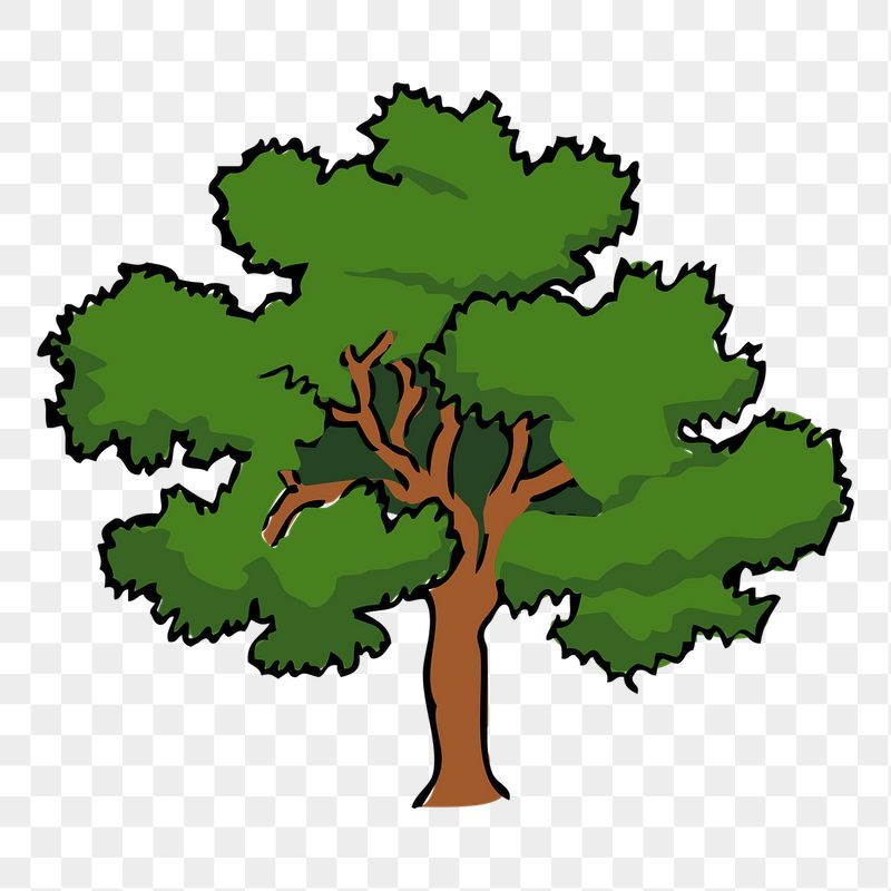 Lone tree png sticker, botanical | Free PNG - rawpixel