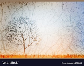 Lonely tree vector image