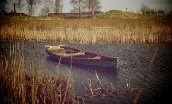          Lonely Waters Free Photo     