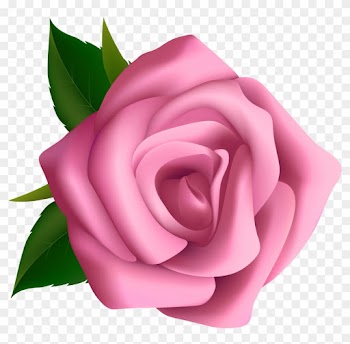 Long Clipart Flower Stalk - Rose Pink Clipart