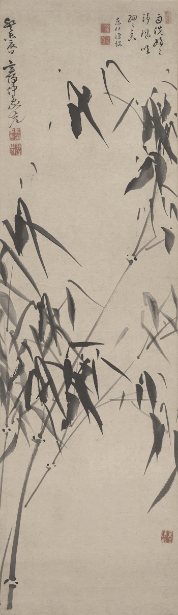 long, delicate branches of bamboo | Free Photo - rawpixel