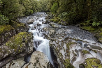 Long-Exposure Photo of River Near Trees