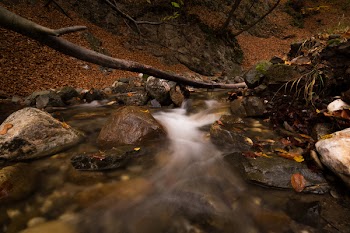 Long Exposure Photography of River