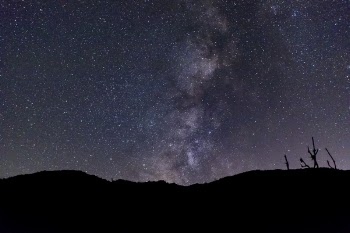 Long Exposure Photography of Stars