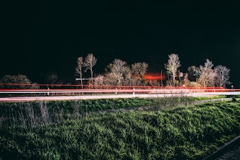 Long Exposure Photography of Trees