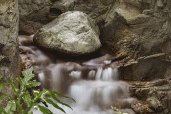 Long Exposure Photography of Waterfall