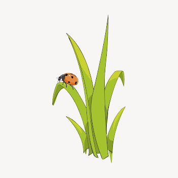 Long grass clipart illustration psd. | Free PSD - rawpixel