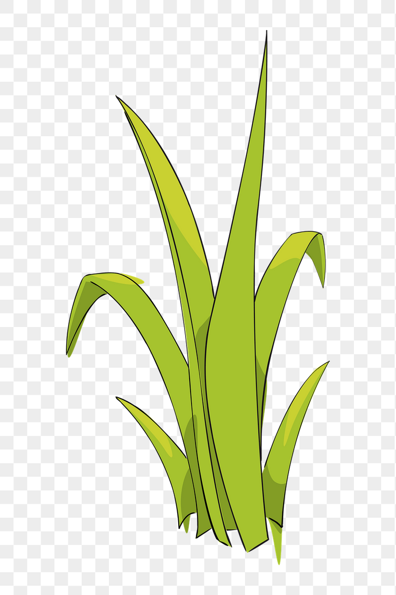 Long grass png sticker illustration, | Free PNG - rawpixel