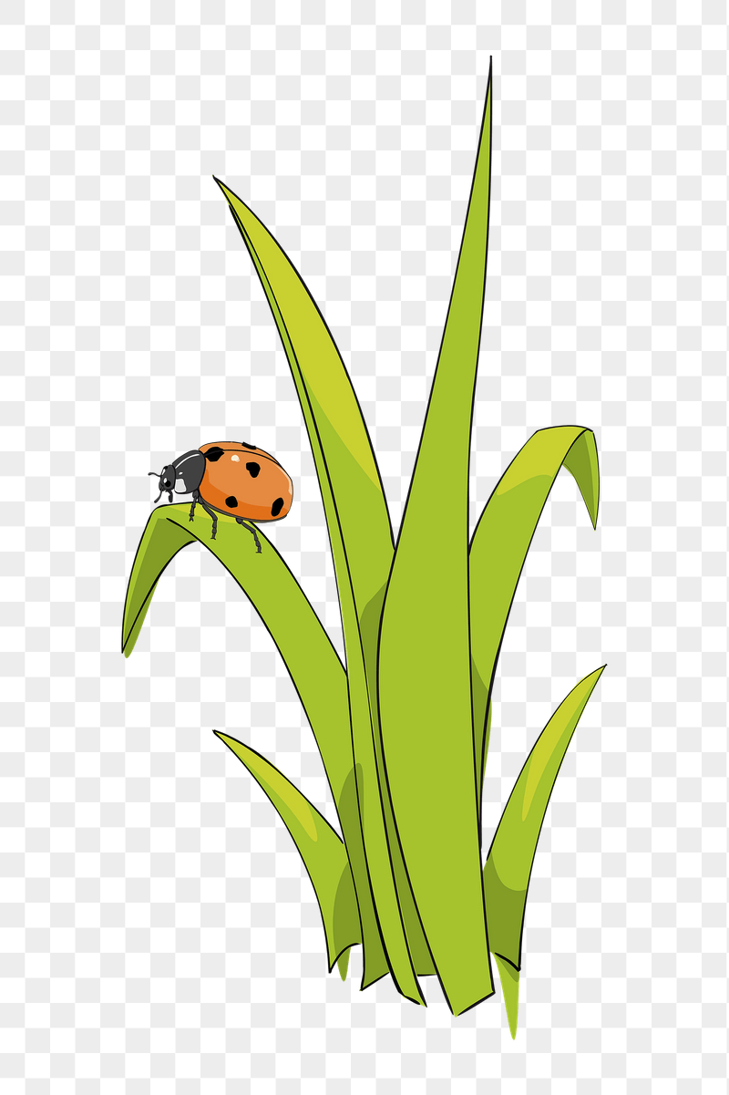 Long grass png sticker illustration, | Free PNG - rawpixel