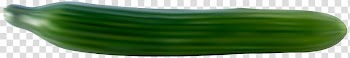 Long green vegetable, Pickled cucumber Melon Product, Cucumber transparent background PNG clipart
