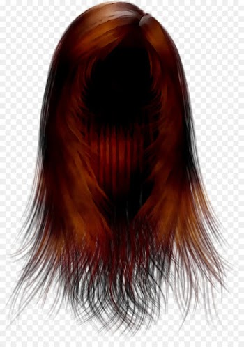 Long hair Hair coloring Brown hair -  