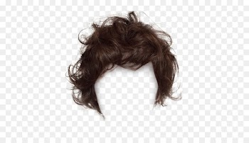 Long hair Wig Hairstyle - Black hair, short hair clips to pull Free 
