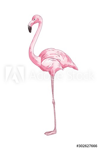 Long legged pink flamingo vector illustration