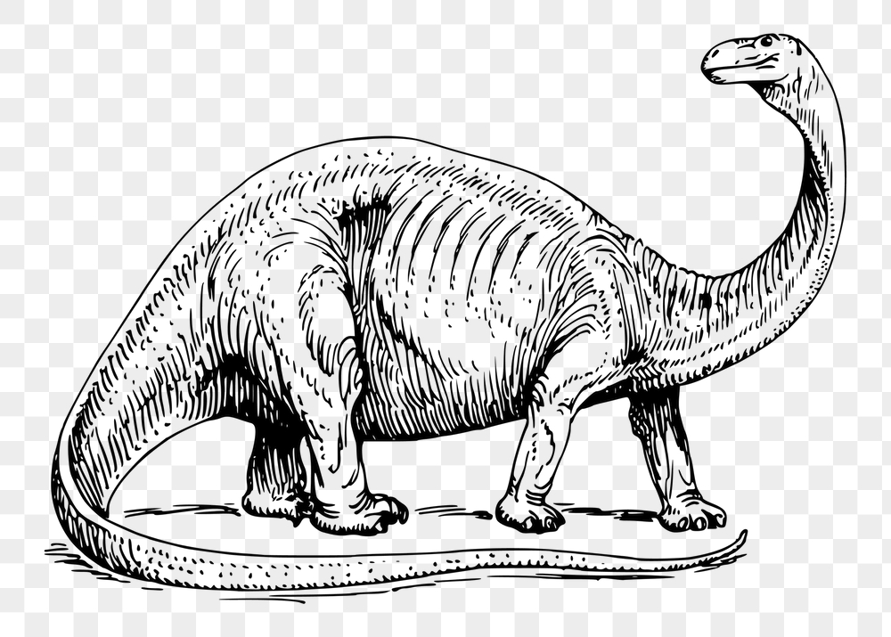 Long neck png dinosaur sticker, | Free PNG - rawpixel