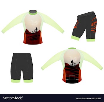 Long sleeve vector image