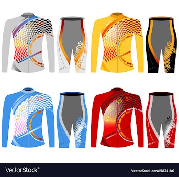 Long sleeve vector image